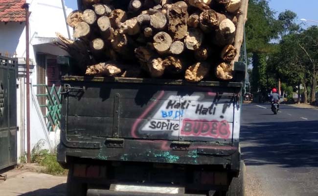 Polhut Banyuwangi Amankan Truk Sopire Budeg