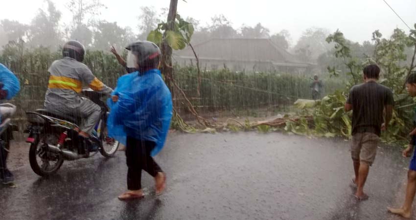 Hujan Berangin Robohkan Pohon Ayoman Sembulung