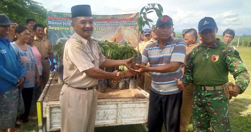 Kades Karangharjo Serahkan Bibit Durian Musang King