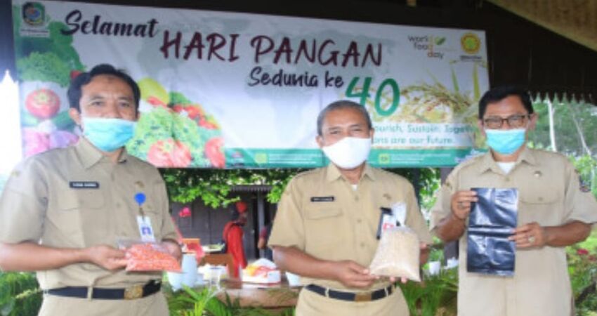 Bantuan benih yang diberikan Dispertan lewat Program family farming.