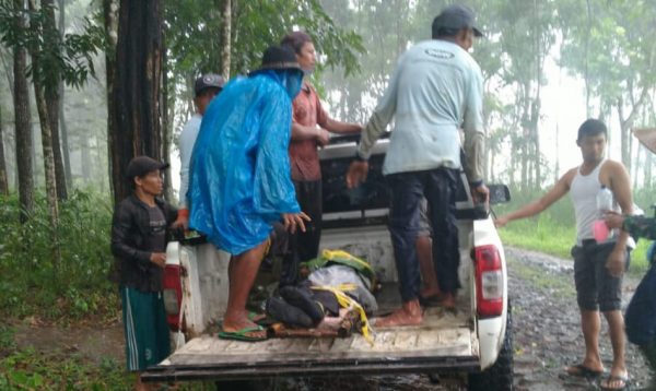 Tertimpa Pohon, Seorang Penyadap Getah di Banyuwangi Meregang Nyawa