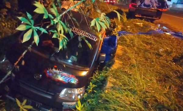 Diduga Muat Pupuk Bersubsidi Tak Berprosedur, Mobil Pikap Nyungsep di Tikungan Maut Mbah Ponggo Banyuwangi